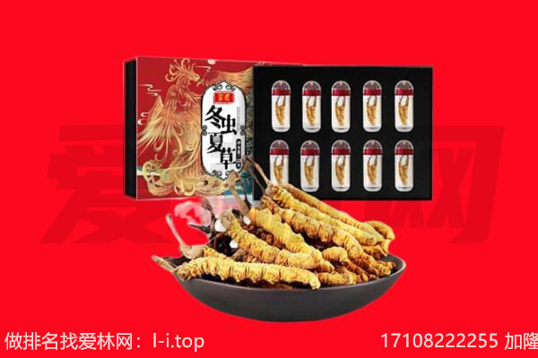 河池罗城县回收虫草.jpg